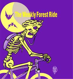 skeleton mountain biker
