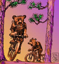 2 bears on Mountain Bikes