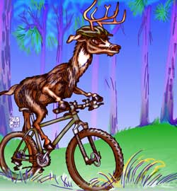 deer rides mountain bike
