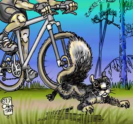 fox squirrel out runs mountain biker
