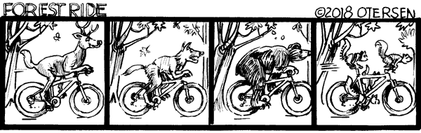 deer, coyote, bear & squirrel ride bikes